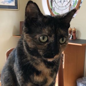 Meet your Posher, Darlene